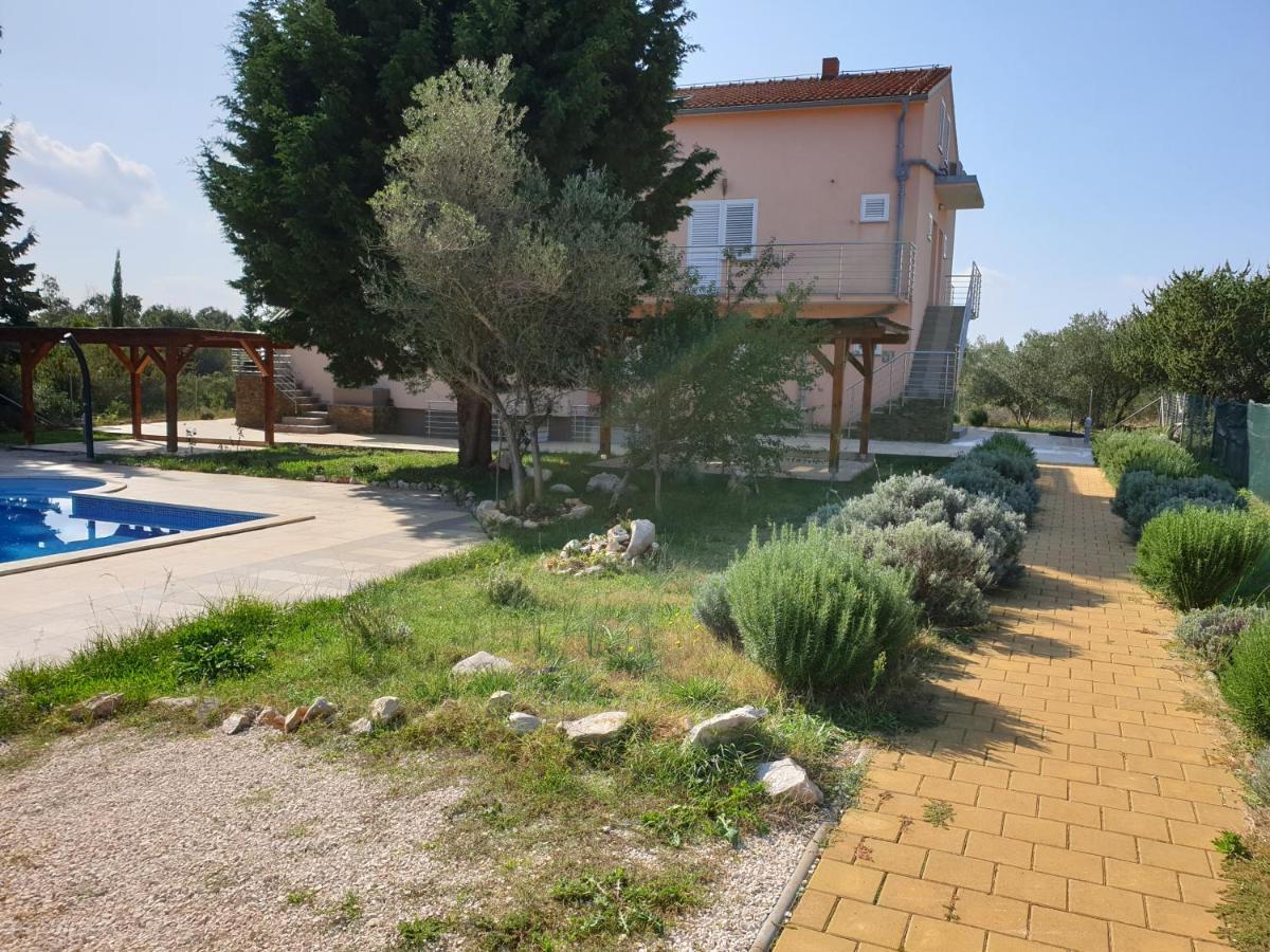 Olive Apartment Ugljan