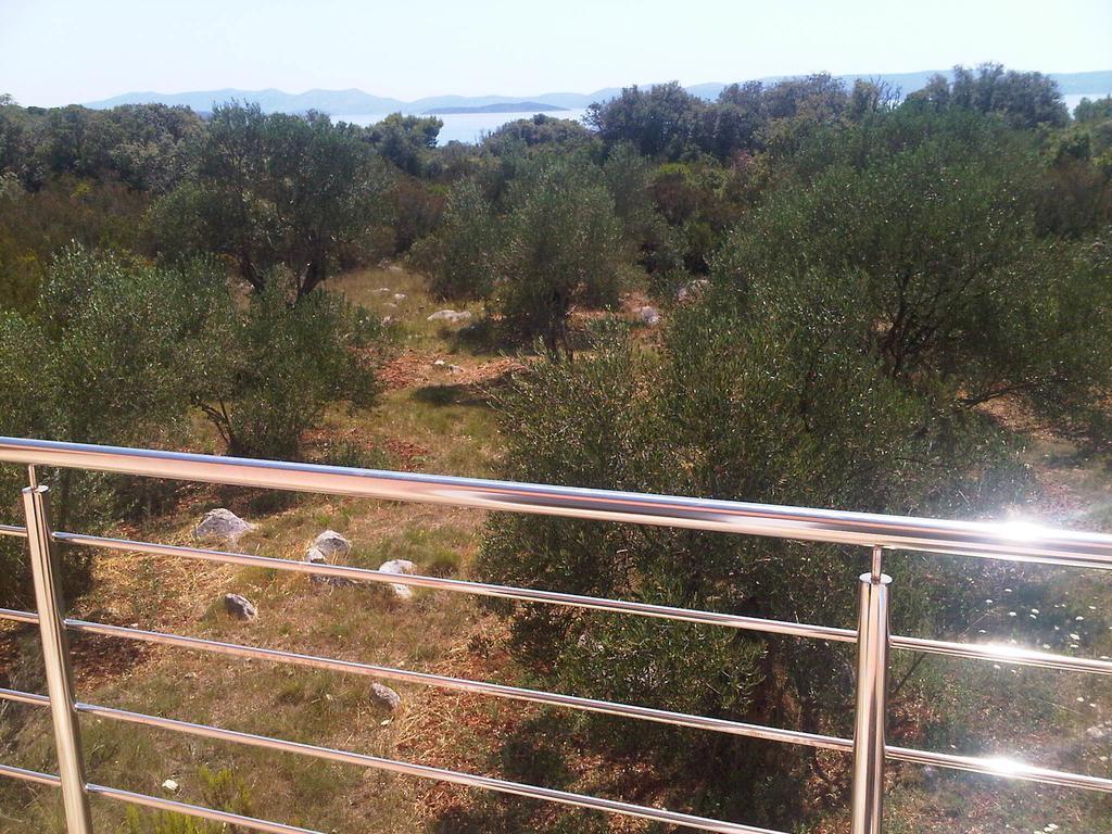 Olive Apartment Ugljan