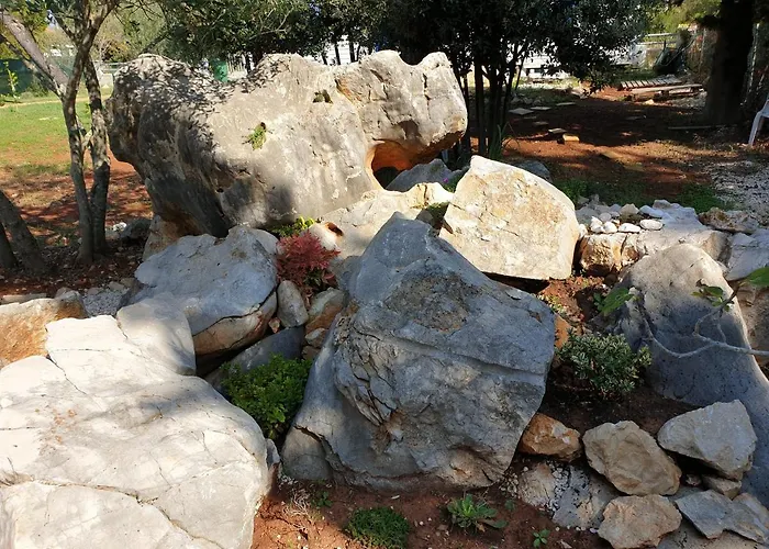 Olive Apartments