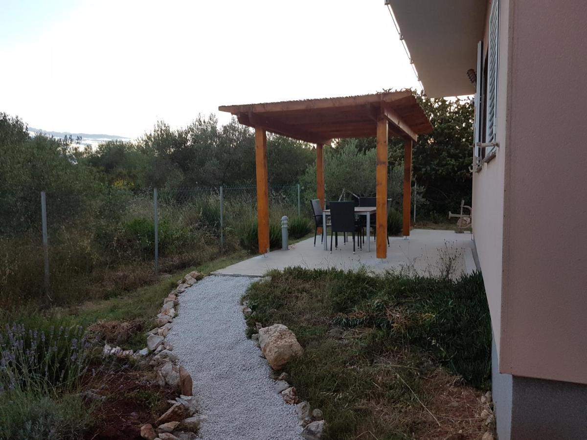 Apartament Olive