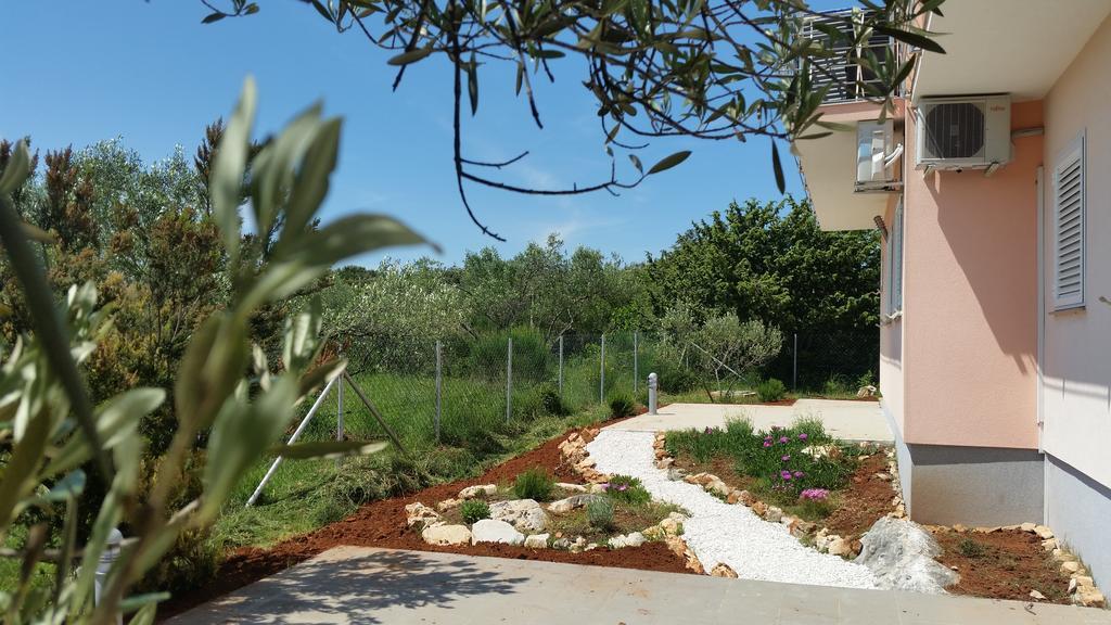 Olive Apartament