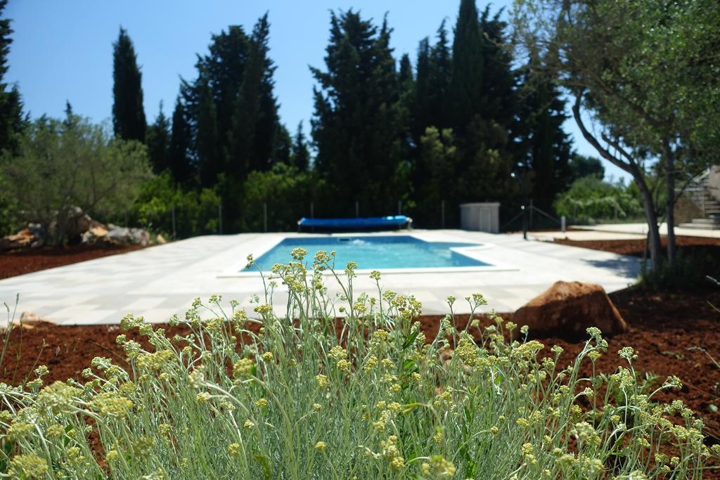 Appartamento Olive *