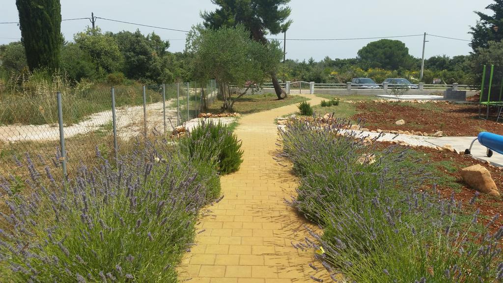 Apartament Olive